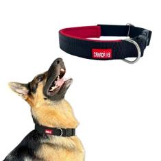 Coleira com Trava de Segurança para Cachorro - Tamanho M - Canadá K9 A