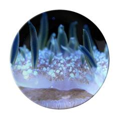 Prato de água-viva azul oceano, prato decorativo de porcelana salver talheres, prato de jantar