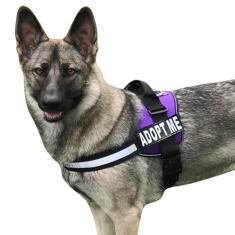 Peitoral de nylon para cães ADPOT ME A compra vem com 2 adesivos refletivos removíveis Adopt ME. Meça seu cão antes de fazer o pedido