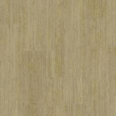 Piso Vinílico Colado EspaçoFloor Office Mild Carvalho Turim 3mm, Carva