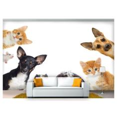 Papel De Parede Cão Gato Hamster Coelho 3D Anm221 - Você Decora