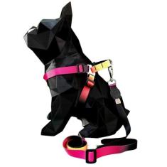 Coleira para cachorro com guia modelo peitoral paraquedas segura resis