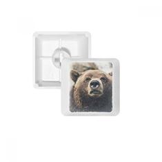Terrestre Organism Wild Animal Bear Keycap Teclado mecânico PBT Gaming Upgrade Kit