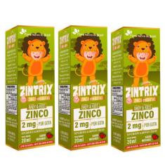 KIT 3X ZINTRIX (Zinco Infantil) 20ml - Flora Nativa Sabor:Morango