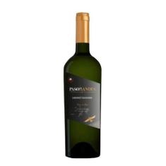 Vinho Tinto Paso De Los Andes Cabernet Sauvignon 750Ml