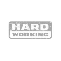 Emblema Traseiro Strada Hard Working 2018/2019 Adesivo Prata - SPORTIN