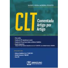 Clt comentada artigo por artigo - JH MIZUNO, 3