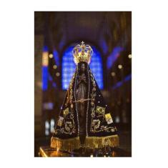 Quebra-Cabeça Cognitivo Rainha Aparecida 300 Peças - Coleção Tea