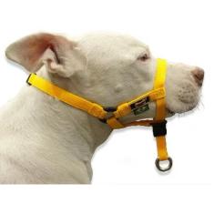 Coleira Cabresto Halti Amarela (Amorosso), PP