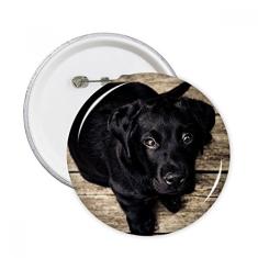 Emblema de cachorro preto solitário noite redondo broche emblema acessório decoração 5 peças