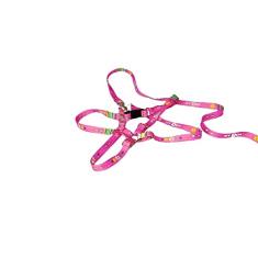 Kit de Peitoral e Guia Ajustável RBPet - Cães e Animais de Mini Porte