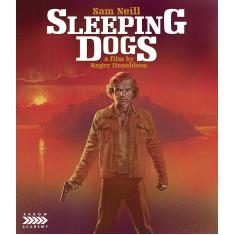 Sleeping Dogs