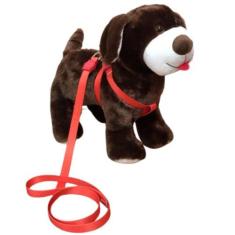 Coleira Peitoral Super Premium Mosquetão Rosca Laranja Nº 0 - Nicapet