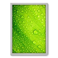Quadro Decorativo - Orvalho - 50cm x 70cm - 036qnfdb