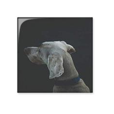 Dog Pet Animal Lonely Night cerâmica azulejo brilhante decalque pedra adornada tijolo vitrificado