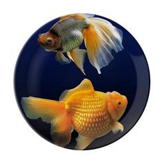 Prato decorativo de porcelana Salver Salver de peixe oceano ciência natureza