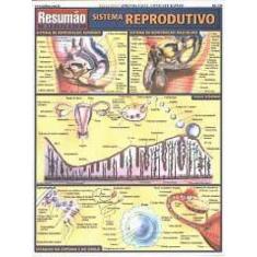 Sistema Reprodutivo - Resumao - Barros Fischer