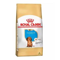 Ração Royal Canin Daschshund Junior Cães Filhotes 2,5kg Royal Canin para Todas Todos os tamanhos de raça Filhotes - Sabor Outro