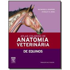 Atlas Colorido De Anatomia Veterinaria: De Equinos