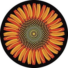 Perfume Feminino Natural Violeta 100ml