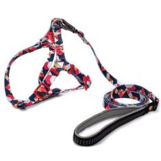 Peitoral e Guia para Cachorro MADOG Triângulos, M