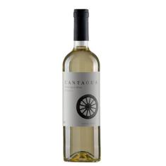 Vinho Branco Chileno Cantagua Clássico Sauvignon Blanc - Viña Cantagua