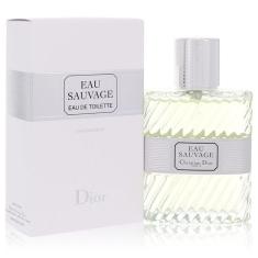 Perfume Masculino Sauvage Christian Dior 50 Ml Eau De Toilette