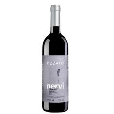 Vinho Pizzato Nervi Reserva Tannat 750 ml