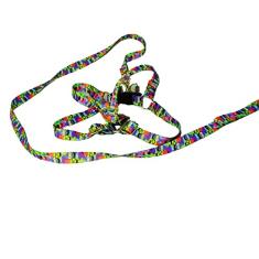 Conjunto Peitoral Ajustável RBPet com Guia - Cães de Micro Porte