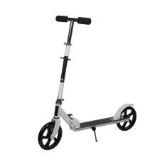 Patinete Infantojuvenil 2 Rodas Dobrável 2fly - Até 80kg