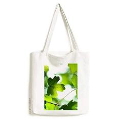 Sunshine Leaf Plant Picture Nature Tote Canvas Bag Bolsa de compras casual