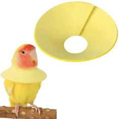 Coleira antiarrancamento de calopsitas para animais de estimação, coleira de cicatrização para periquitos, pescoço de suprimento de pássaros, coleira de papagaio para arrancar penas, coleiras de