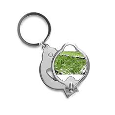 Cortador de unha de aço inoxidável com legumes cultivados sem água