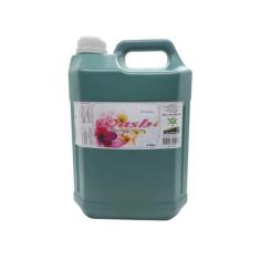 Sabonete liquido wash erva doce galao 5l casa limpa