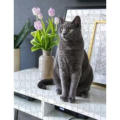 Quebra Cabeça Gatos de 300 peças + Chaveiro Presente