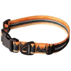 Leash Boss Coleira refletiva padronizada para cães, coleção de padrões, coleira colorida com fios de reflexão tripla para cães pequenos, médios e grandes