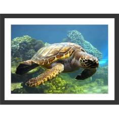 Quadro Decorativo Tartaruga Animais Salas Decorações Com Moldura - Vit