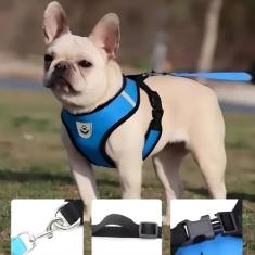 Coleira Peitoral Refletivo com Guia para Cachorro e Gato - Confortável, Resistente e Antipuxão Azul XL, GG