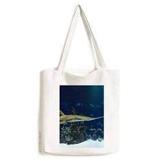 Bolsa de lona com imagem de natureza de skate Ocean Ray Bolsa de compras casual