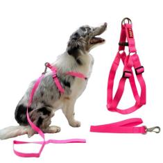 Coleira Peitoral com Regulagem Traseira G + Guia para Cachorro - Canad