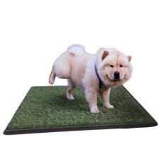 Chalesco Pet Park Extra Grande para Cães