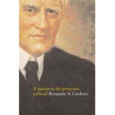A Natureza do Processo Judicial - 01Ed/04 Sortido, Sortido