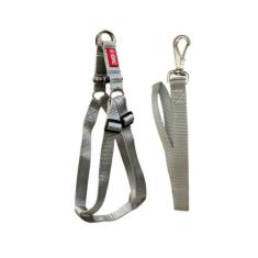 Coleira Peitoral com Guia para Cachorro Modelo Regulagem Traseira - Ca