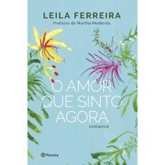 Livro - O amor que sinto agora: Romance