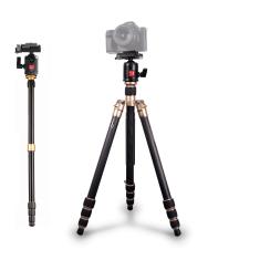 Tripé Monopé Kingjoy AC-258 Alumínio com Cabeça Ball Head para até 10kg (Dourado)