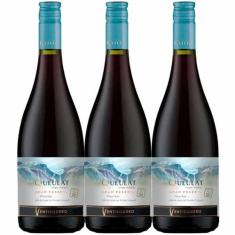 Vinho Tinto Queulat Gran Reserva Pinot Noir 750ml (3 und) - Viña Venti