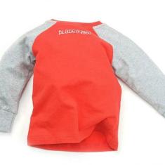 Camiseta Manga Longa Cinza e Vermelha Blade and Rose, 6 a 12 meses, Ve