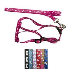 Coleira Peitoral C/Guia Para Cães Até 8kg Variadas - Sap