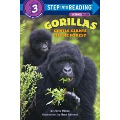 Gorillas - Gentle Giants Of The Forest