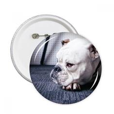 Cão animal de estimação imagem cinza pinos redondos emblema emblema acessório decoração 5 peças